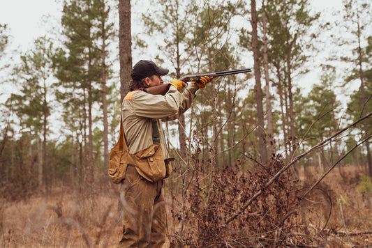 Quail Hunting Full Day